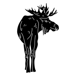 06F26A15-068A-4494-8013-CFA526017788.png