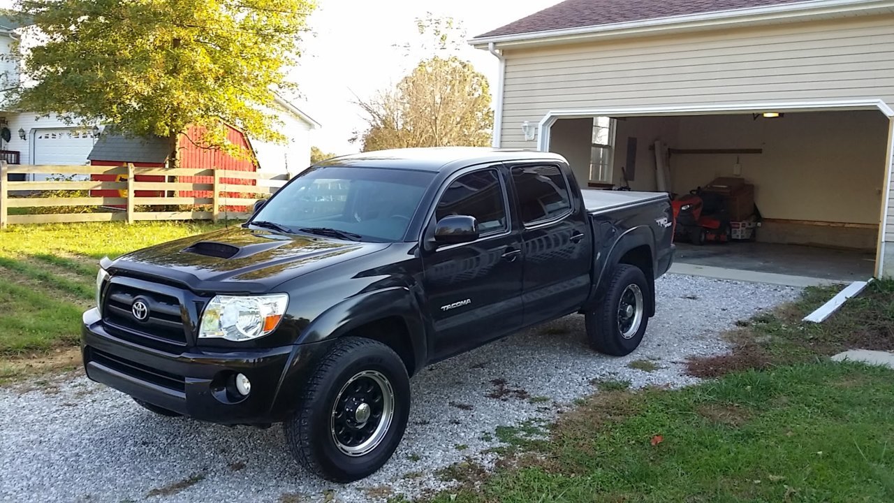 07 Taco.jpg