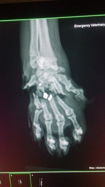 0702152218.jpg