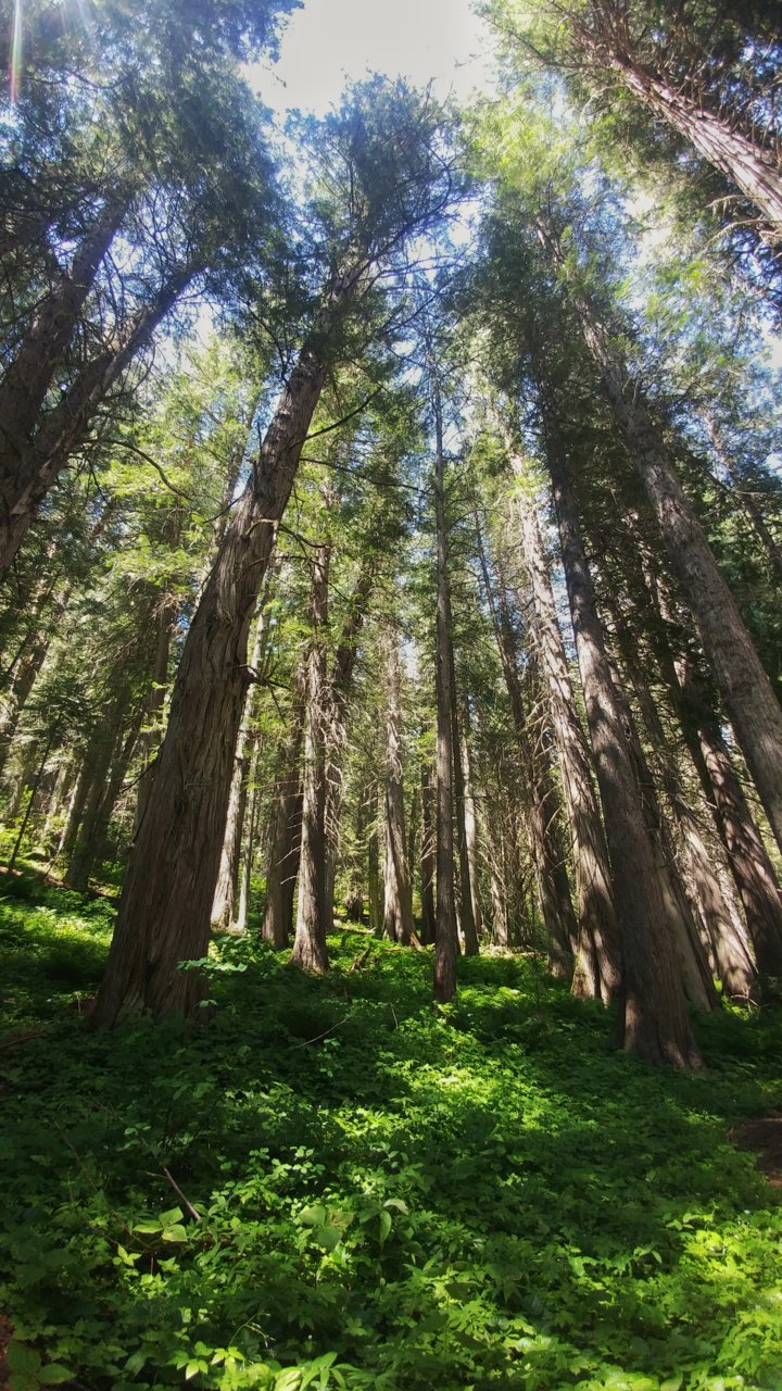 0702221449-01.jpg