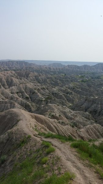 0703151636b.jpg