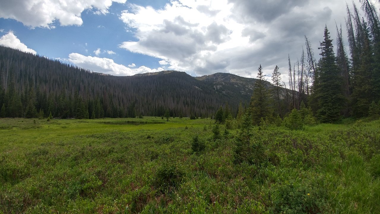 0703171516_HDR.jpg