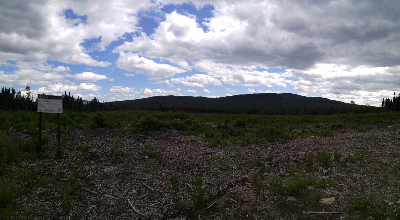 0703171541_Pano.jpg