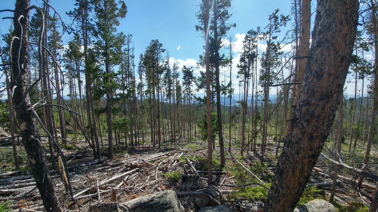 0704171646_HDR.jpg