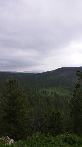 0705151556.jpg