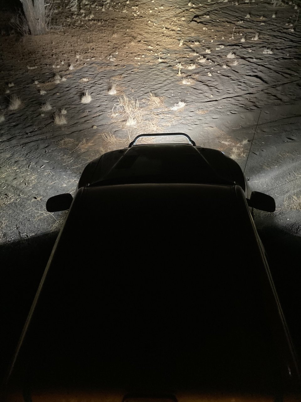 070B43D1-6C28-4466-ADFF-6D1C258043F5.jpg