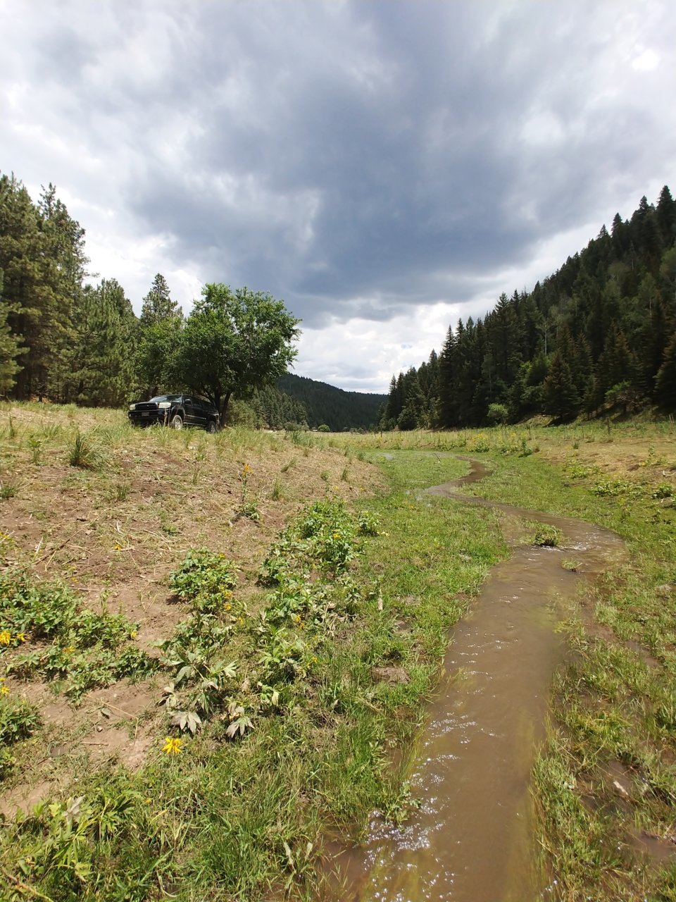 0710201226a.jpg