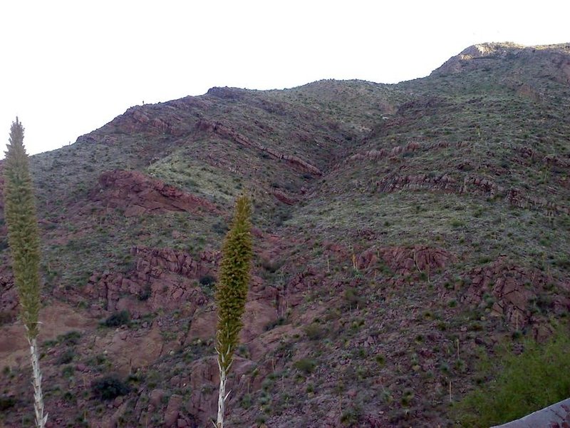 0717001908.jpg