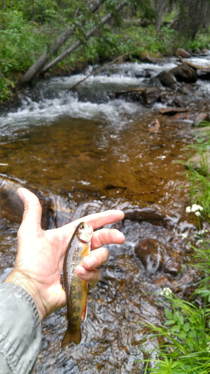 0718201714_HDR.jpg