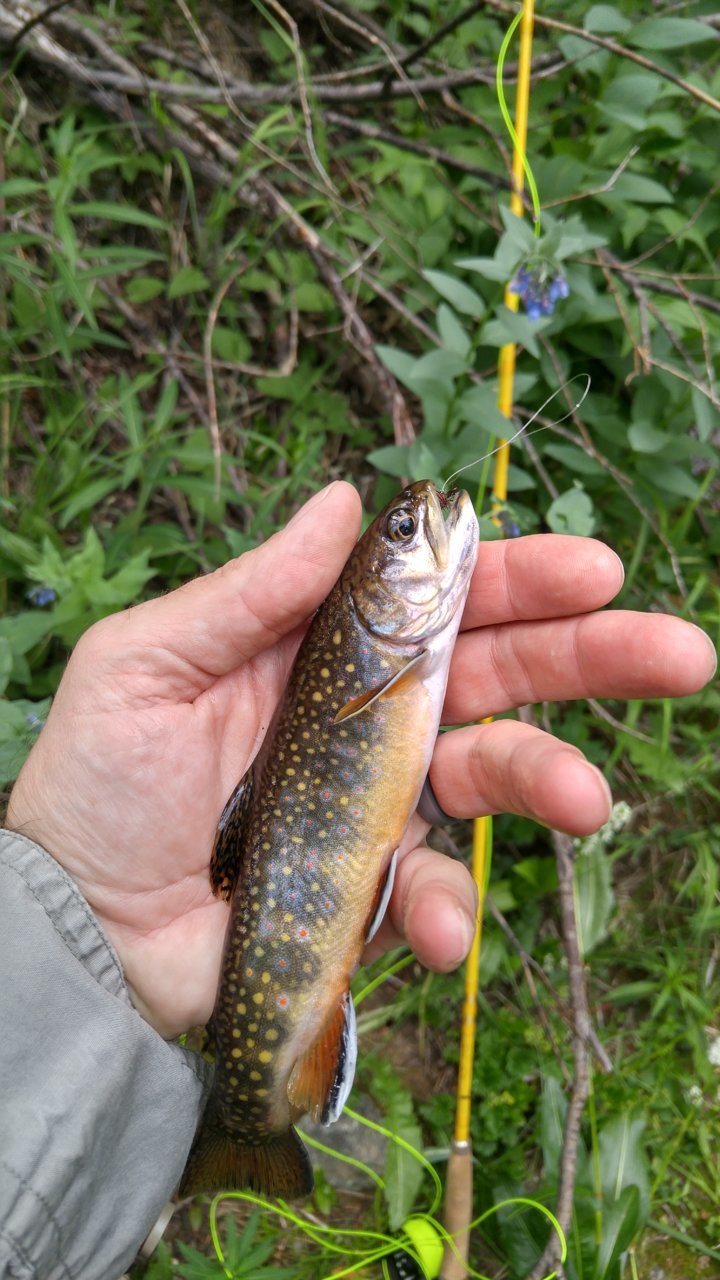 0718201741_HDR.jpg