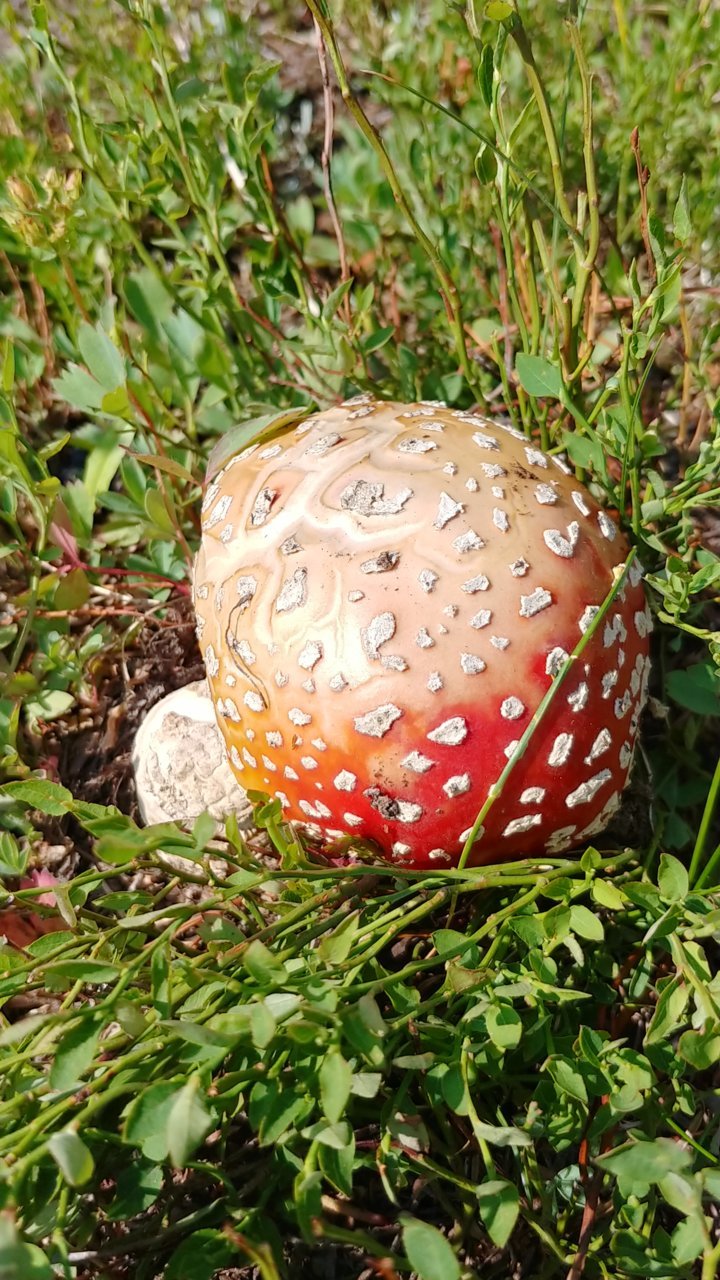0725211010_HDR.jpg