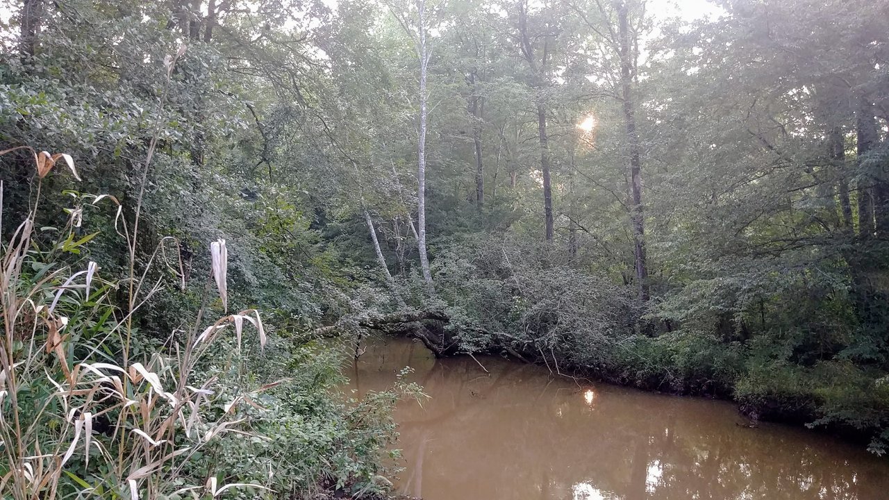 0726171851a.jpg