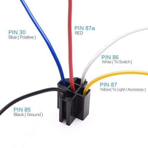 07a6902dde.jpg.500x500.jpg