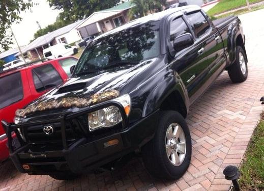 07Taco.jpg