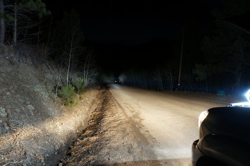 08 hid low.jpg