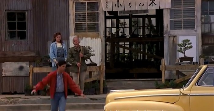 08-karate-kid-bonsaishop.jpg