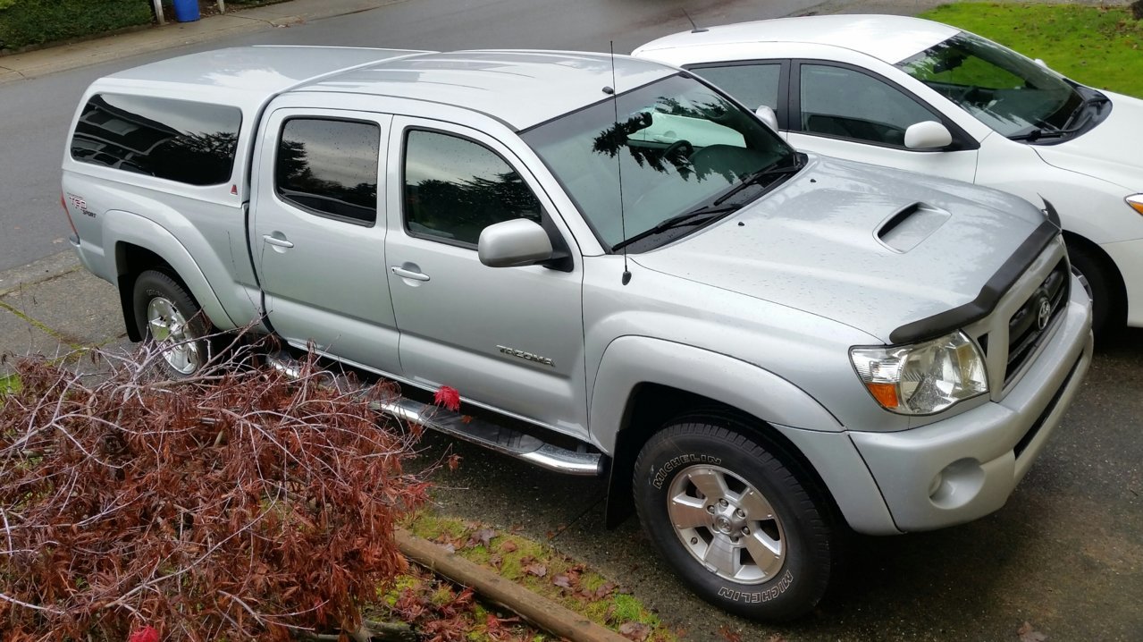 08-taco.jpg