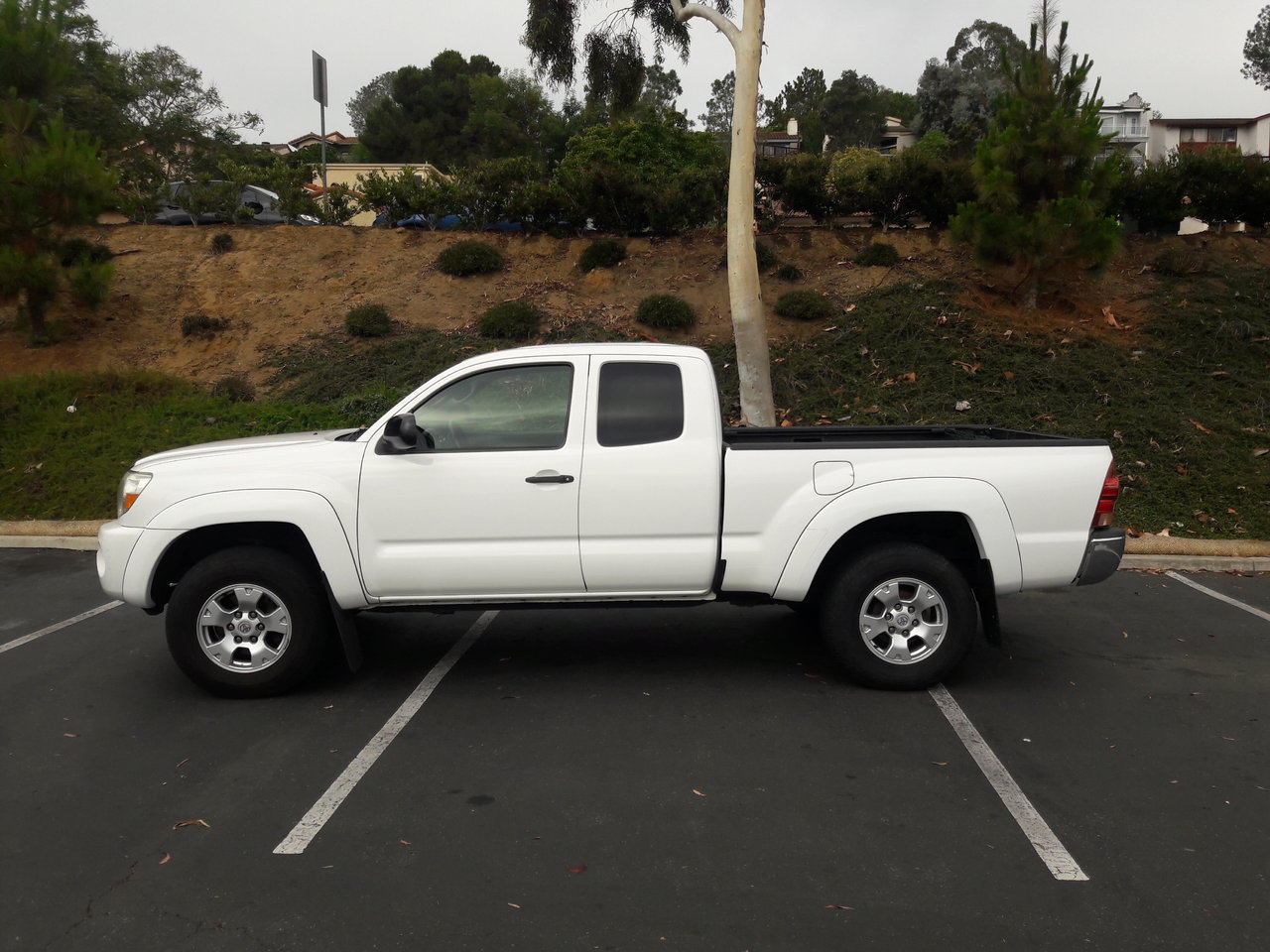 08 Taco Lside.jpg