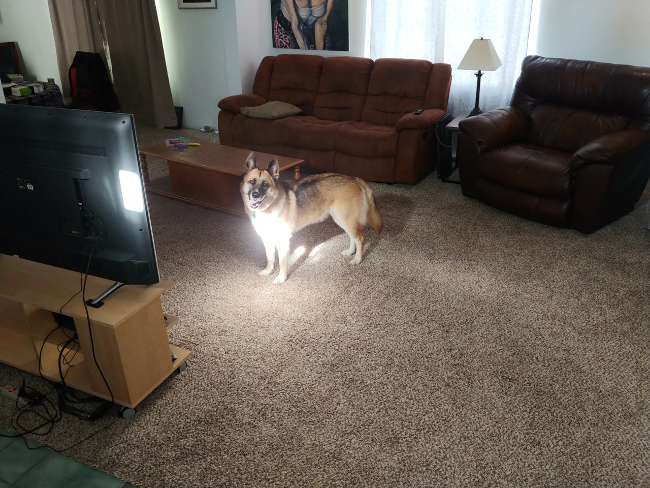 0804221712.jpg