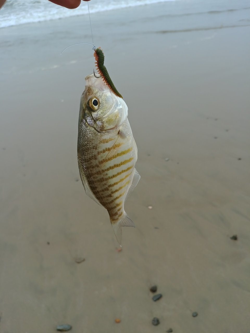 0807191307.jpg