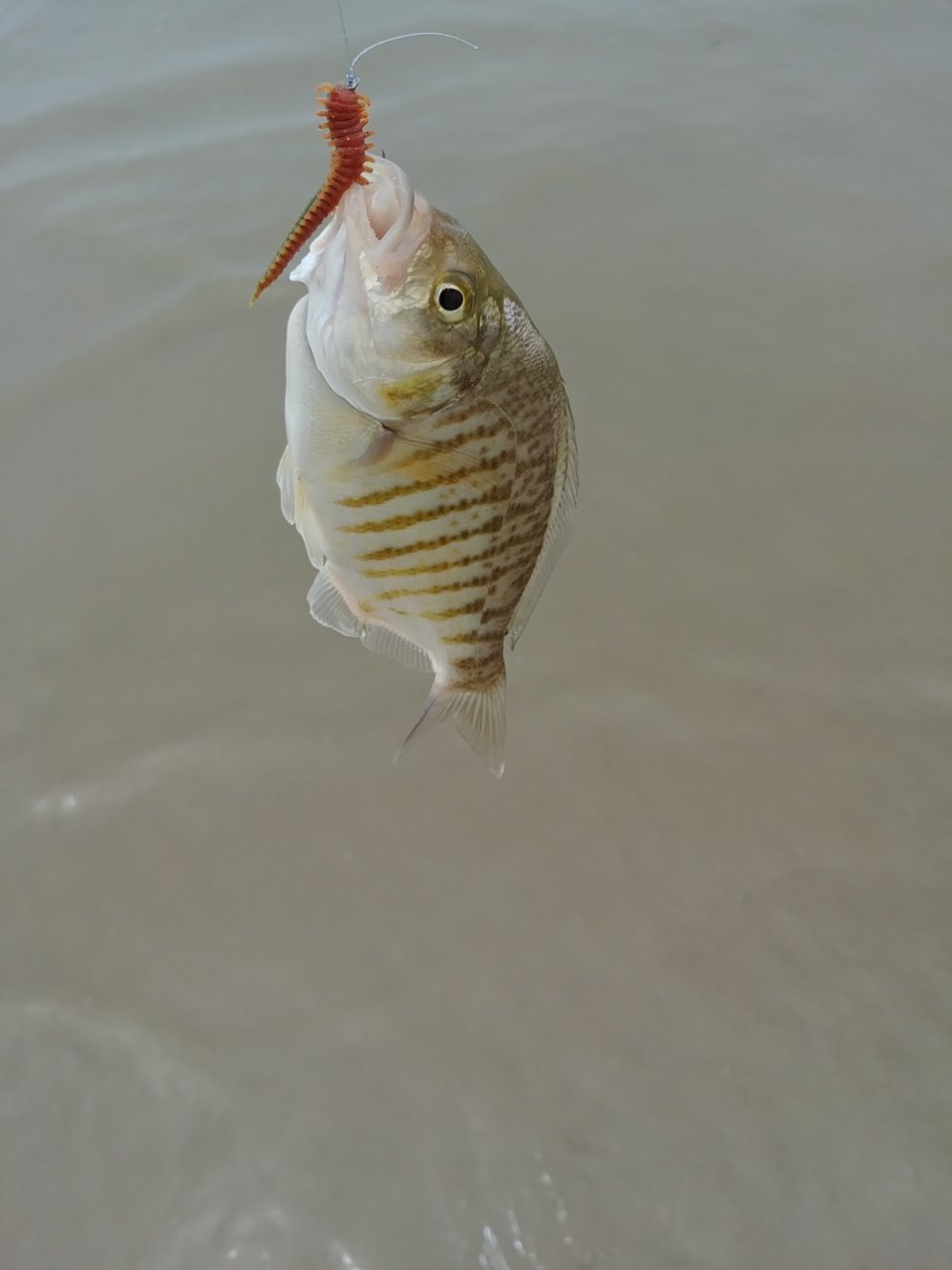 0807191310.jpg