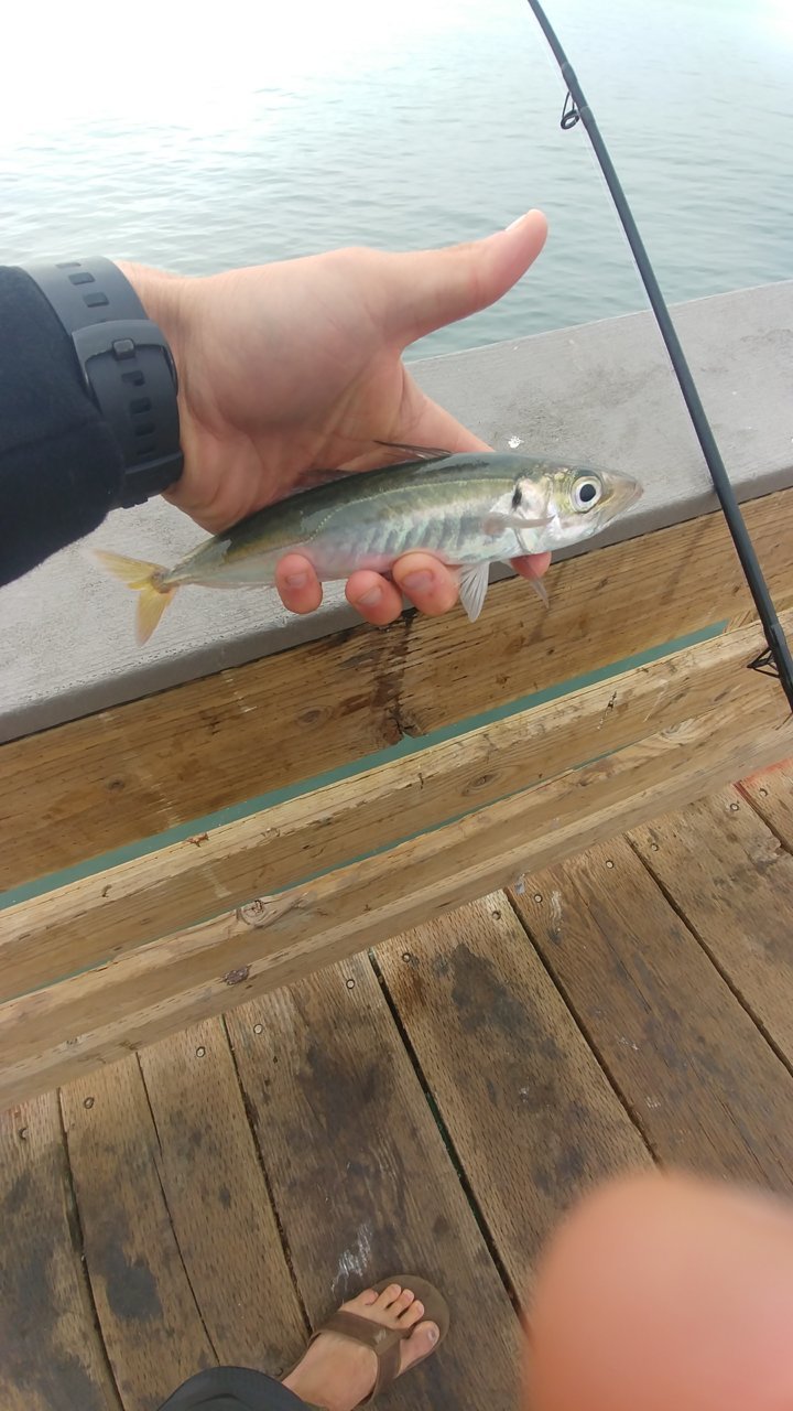 0808180902.jpg