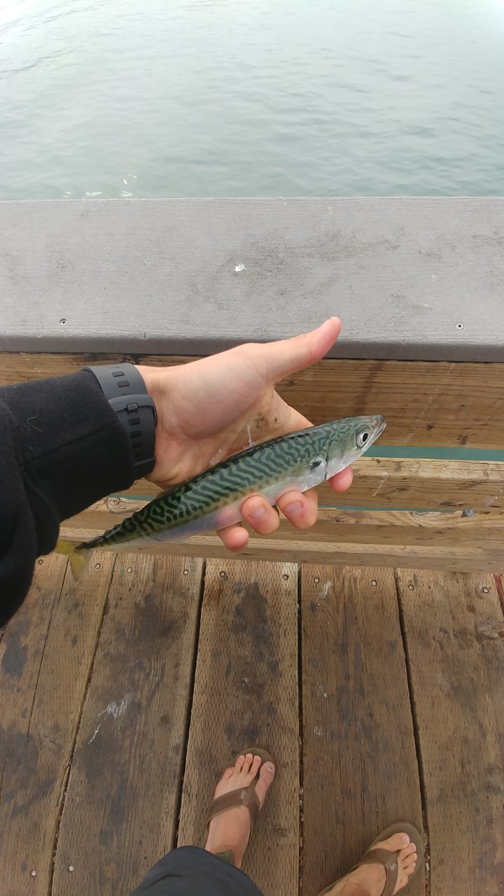 0808180904.jpg
