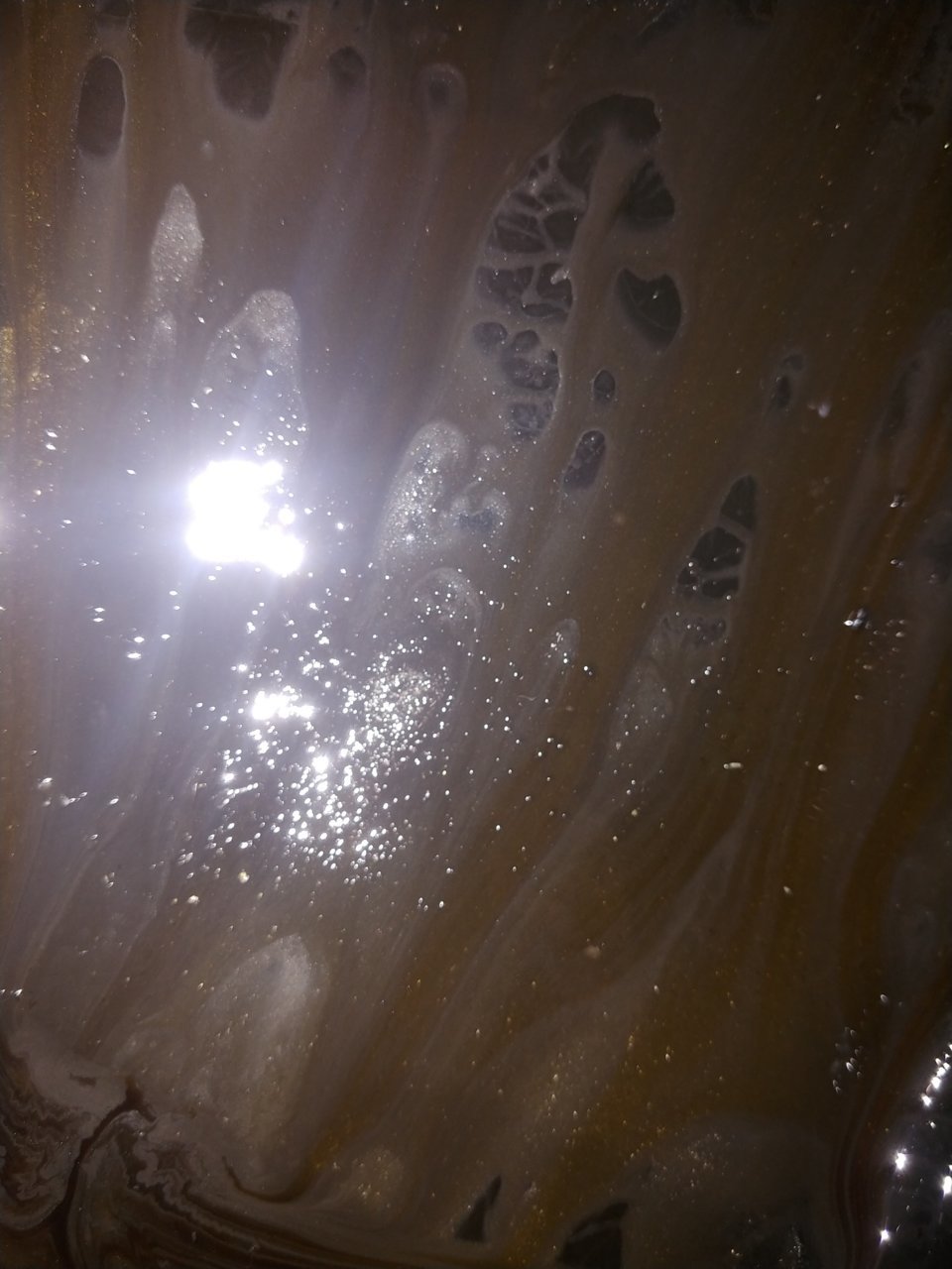 0808211625c.jpg