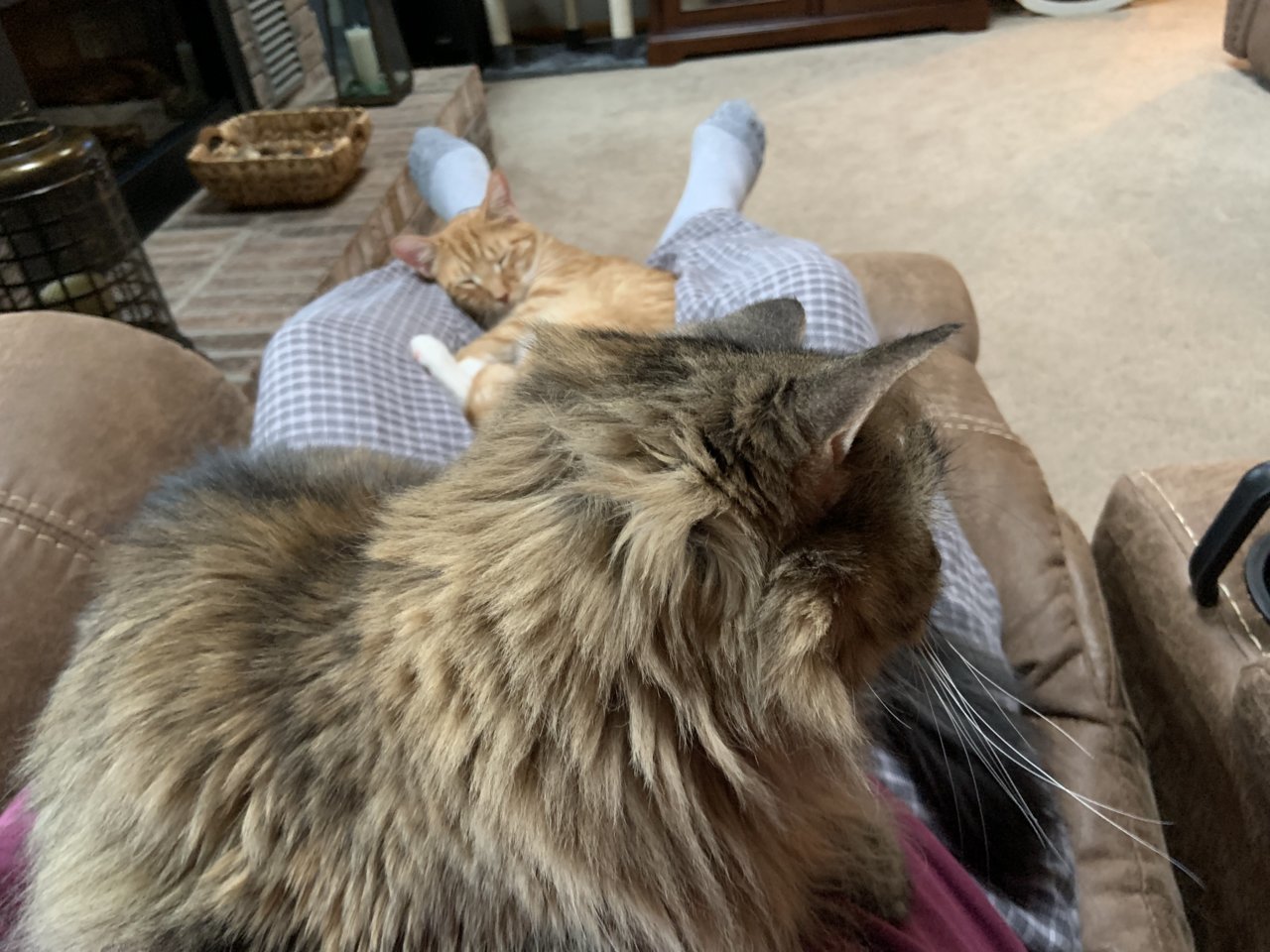 080C2E74-D08A-46C3-BAD8-D357FBFE39A0.jpg