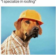 08B61FD8-57F5-478C-92B5-3B91101CC8C5.jpg