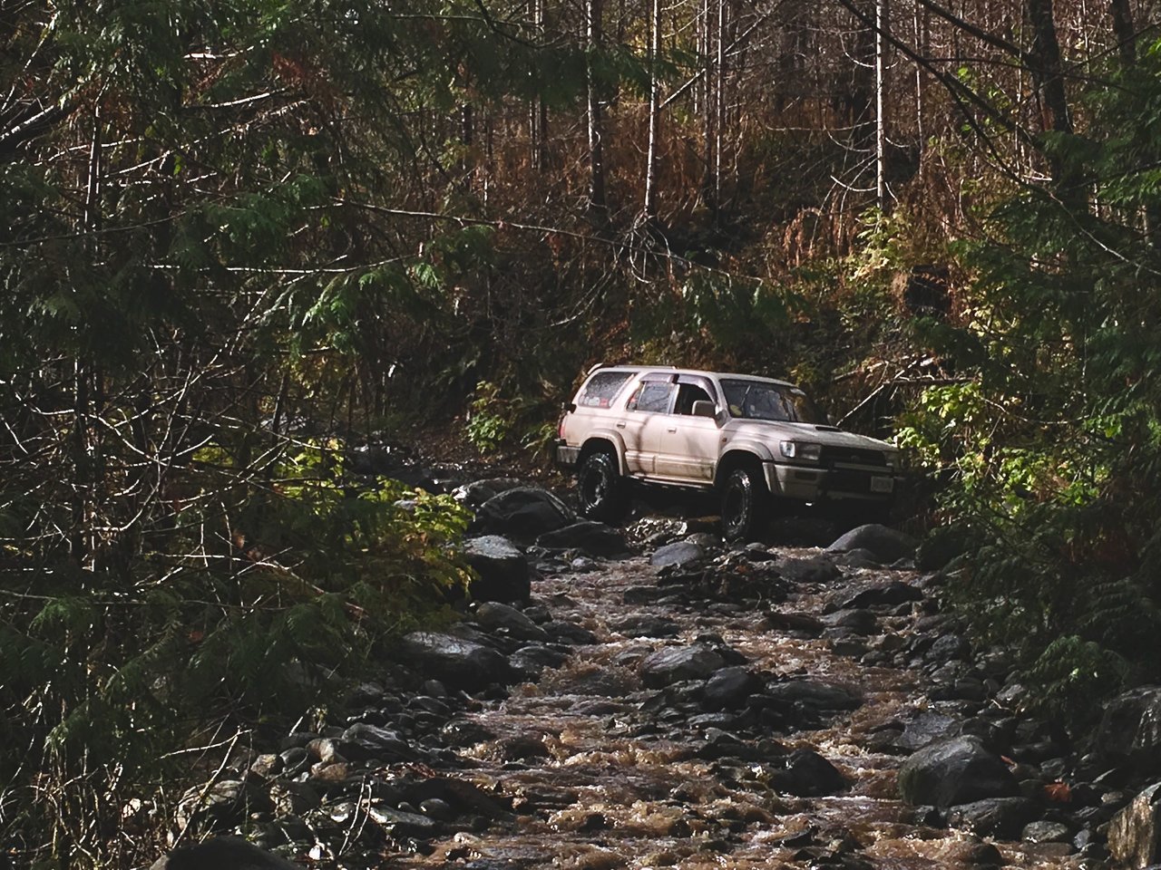 08BEDD67-0794-4745-BB44-E82D7E74B6F1.jpg