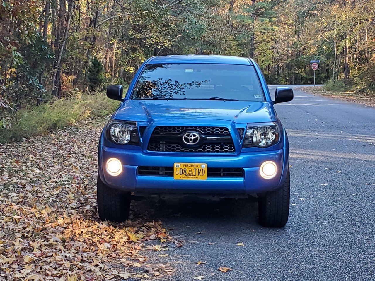 08taco3.jpg