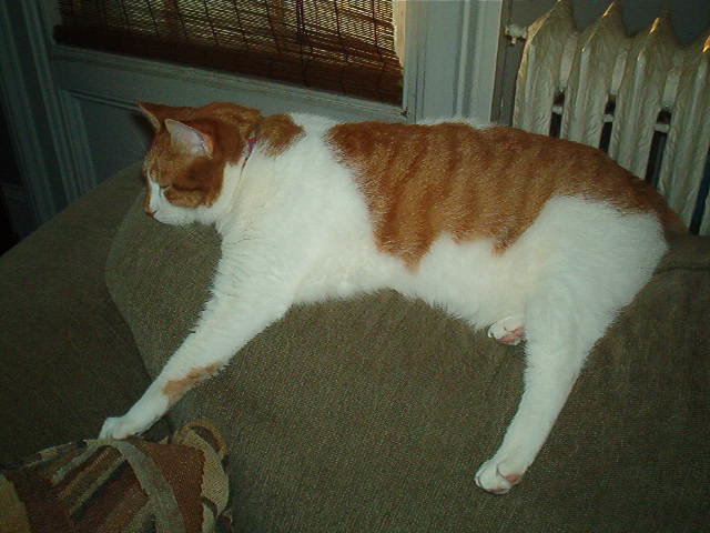 09 -01-08 004.jpg