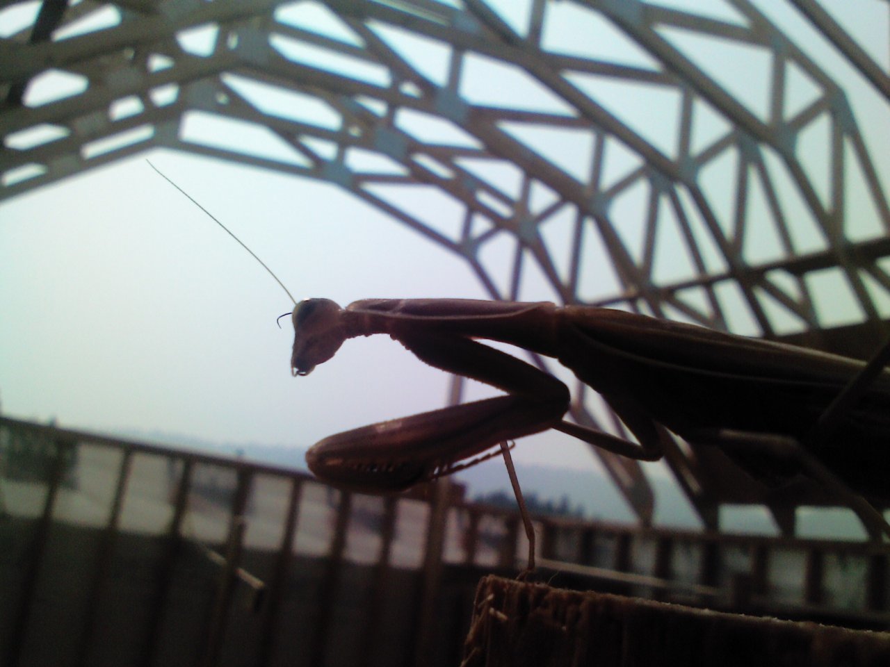 0906171319.jpg
