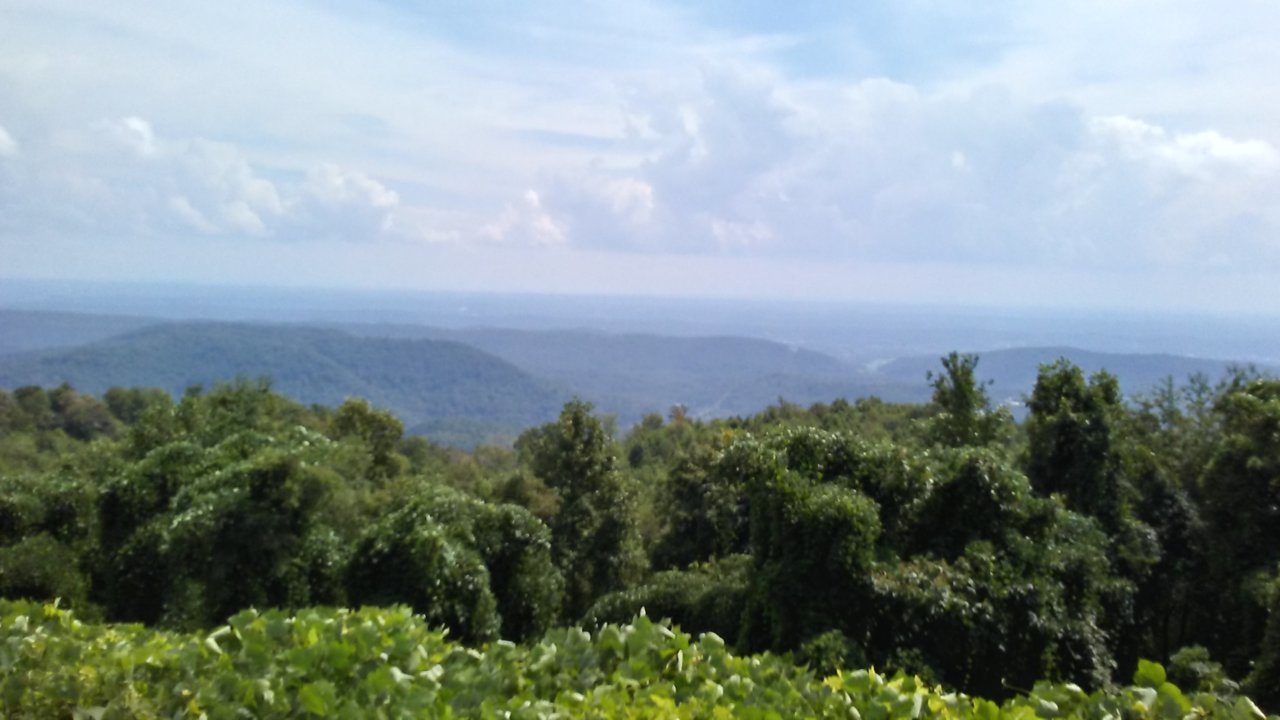 0908181426c_HDR.jpg