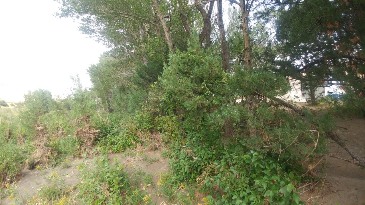 0917221448.jpg