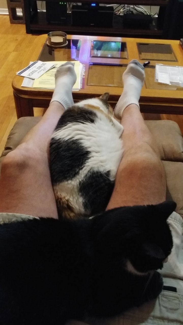 0921182202.jpg