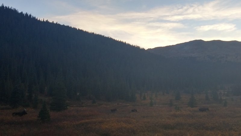 0926151848a_zpsuusxubfx_a99263b83ac4e9062c4a832aa22e5ccd7b1301e4.jpg
