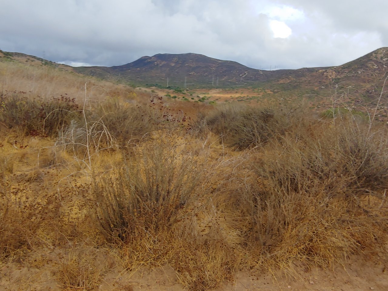 0928190928l_HDR.jpg