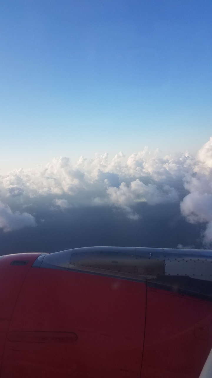 0955248D-0E8F-49DE-AC66-8C7B3F9BC384.jpg