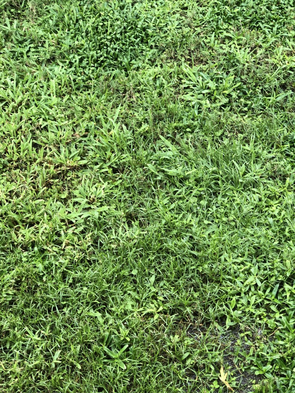 096043C2-A94E-4C9A-A222-E446670F54EB.jpg