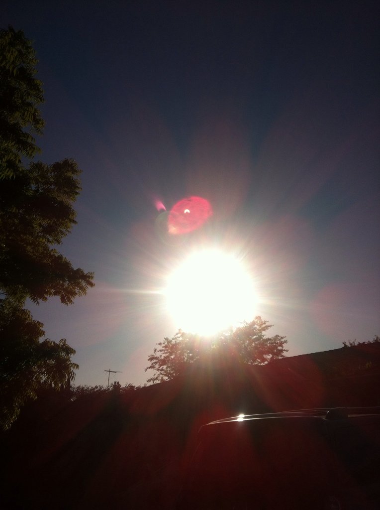 09983349_5d4c000872ca1fc7972949a5d2579e8f84c7a886.jpg