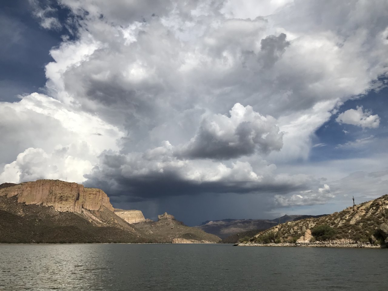 09E67B0C-37F4-4231-AA50-4A6AF9E74CA1.jpg