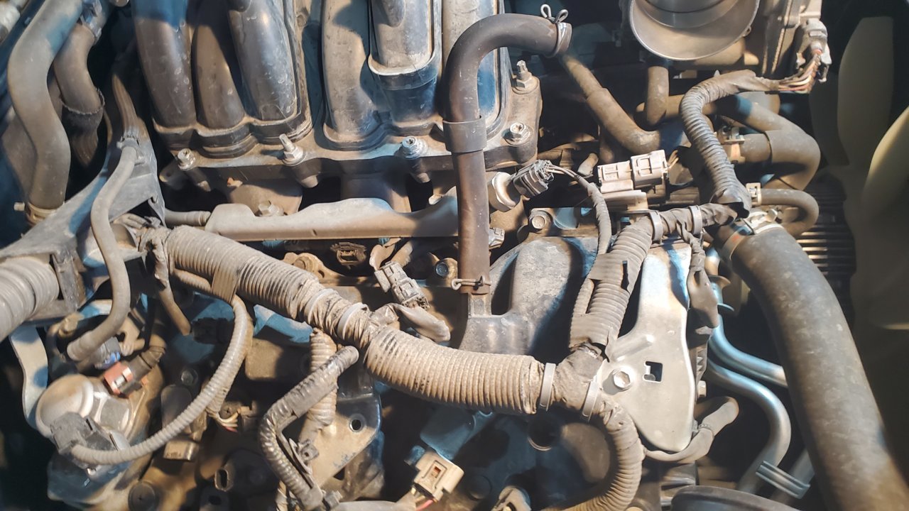 0_20201031_142915.jpg