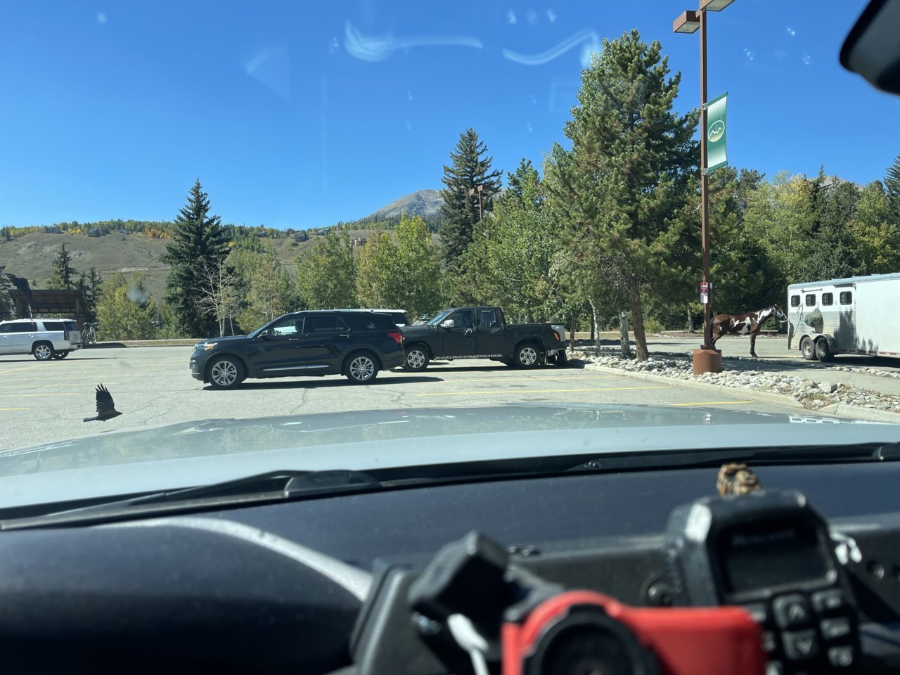 0A167F13-78C0-4DBF-958E-ADA1BB2BD1DA.jpg