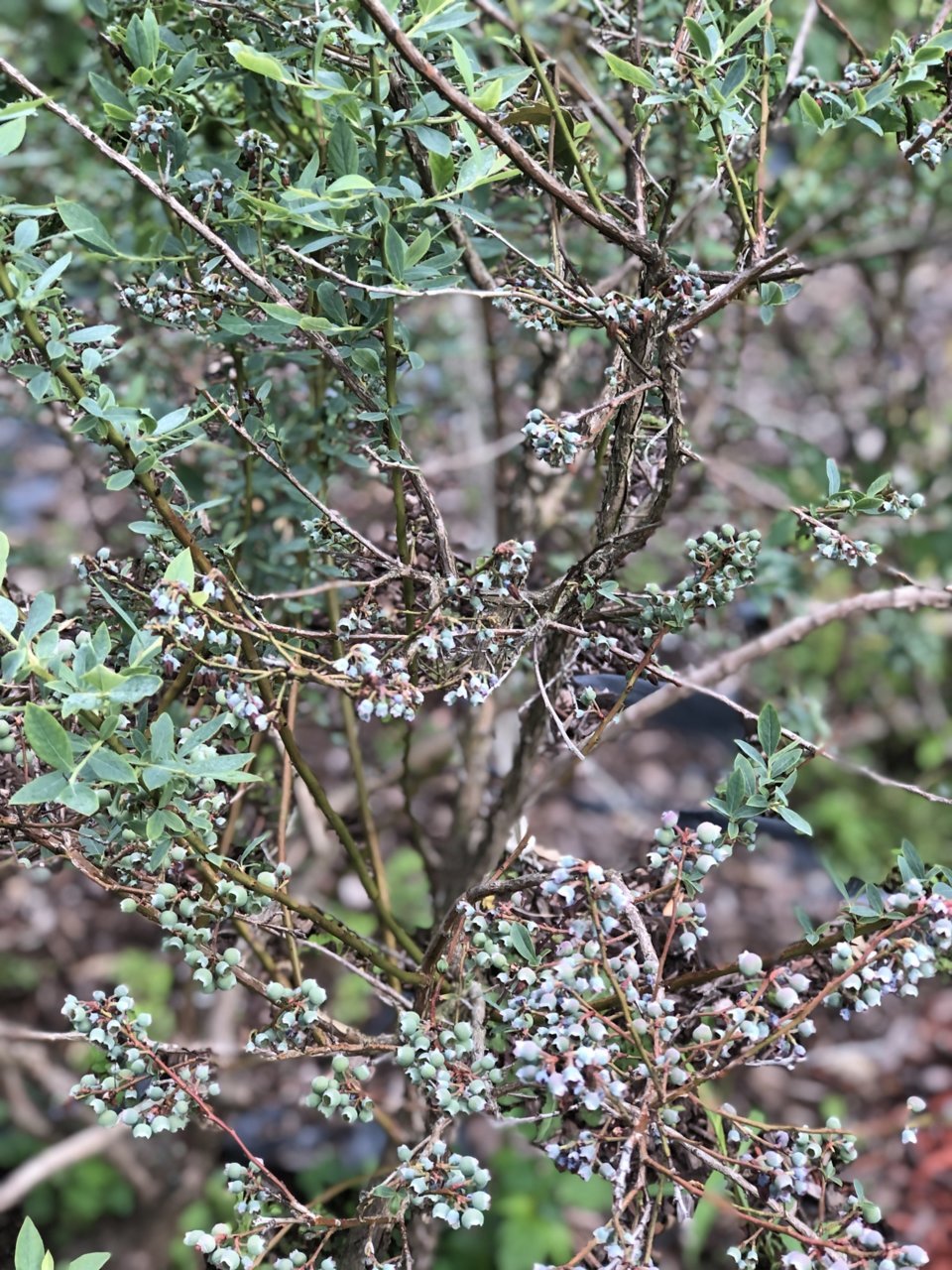 0AB636BA-AD15-42AD-9D0F-FE4D4C3FB5E4.jpg