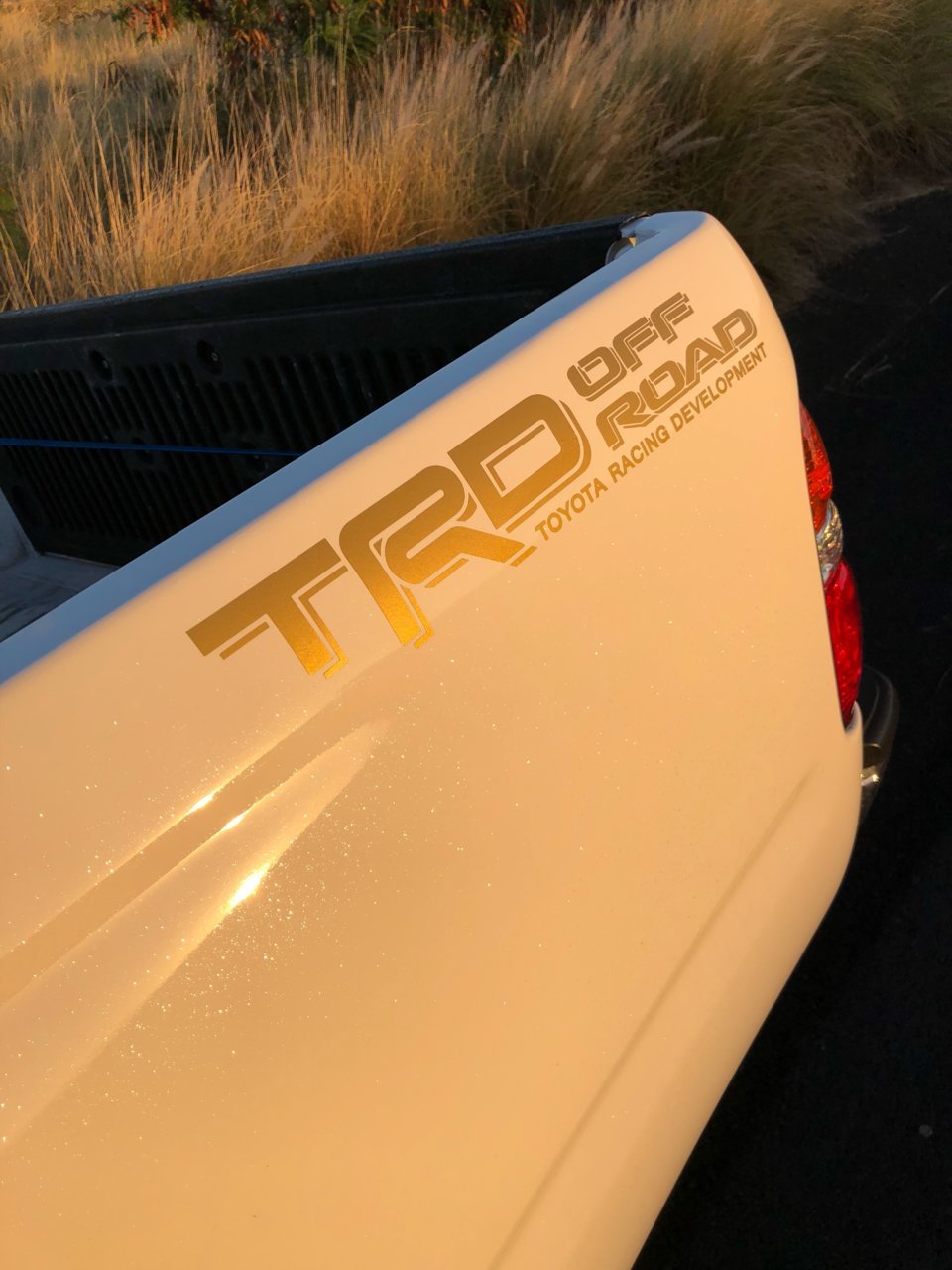 0AE8F1C2-27F3-41AF-BDA0-E277C1DCB602.jpg