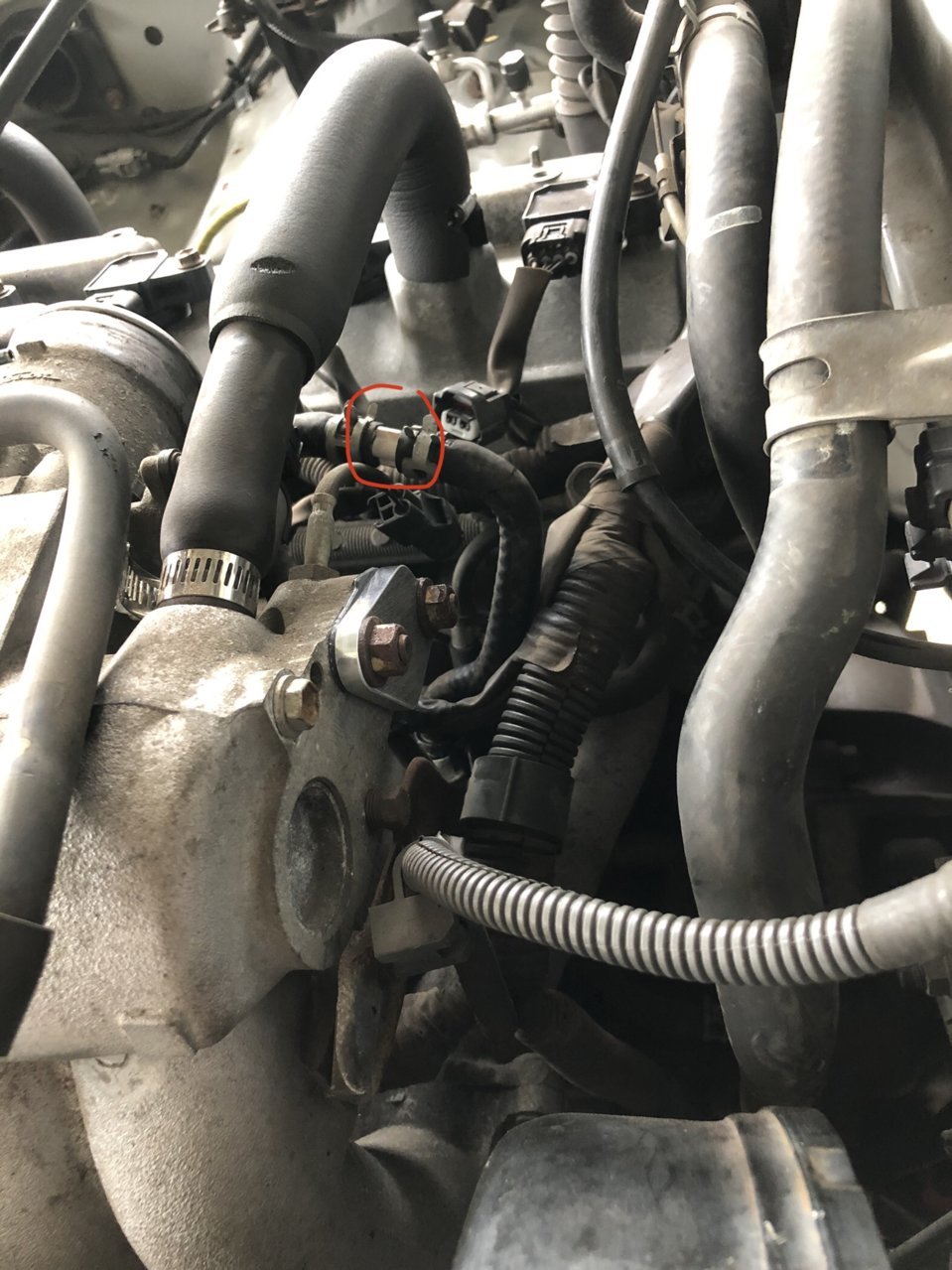 0AEFAB40-231F-4AE8-A1E3-C4915398FB5F.jpg