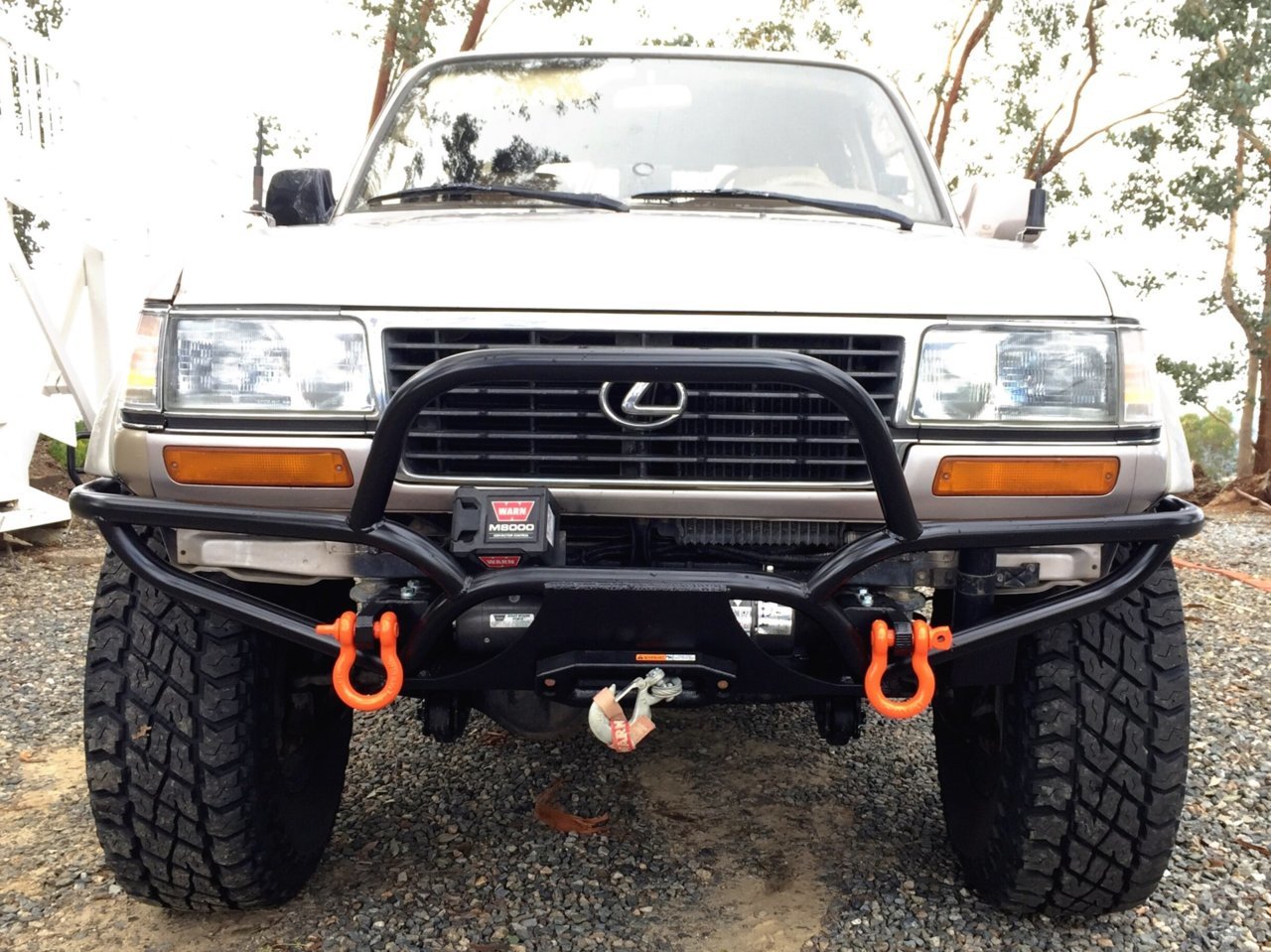 0B19884C-06E8-42D1-A93A-2EDE8CCF3EB2.jpg