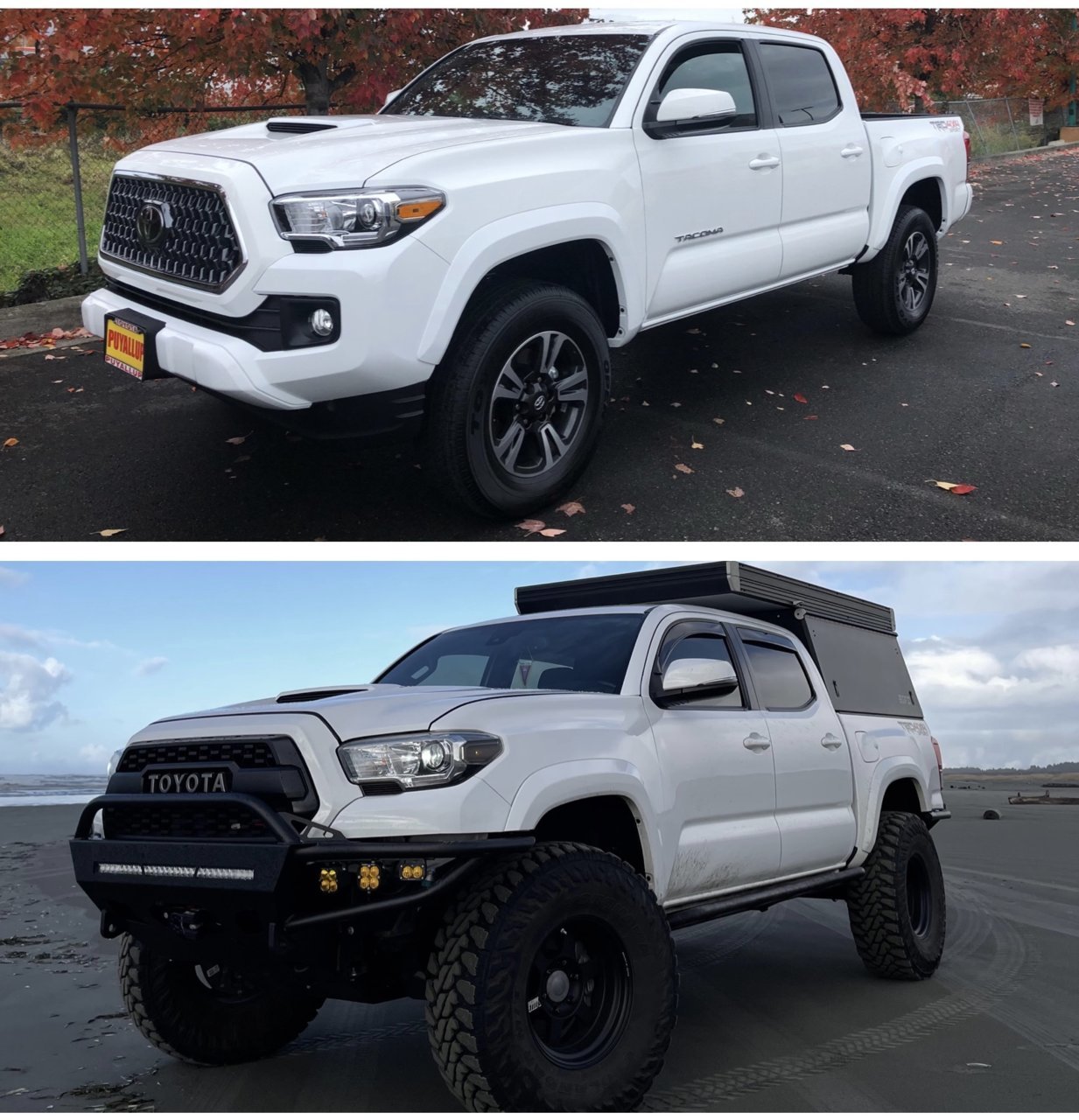 3rd Gen White Tacomas - Post Them Up! | Page 491 | Tacoma World